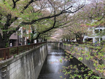 !cid_78b9a4a1-185f-4eee-b5d9-dd1ea4ac1261@apcprd03_prod_outlook